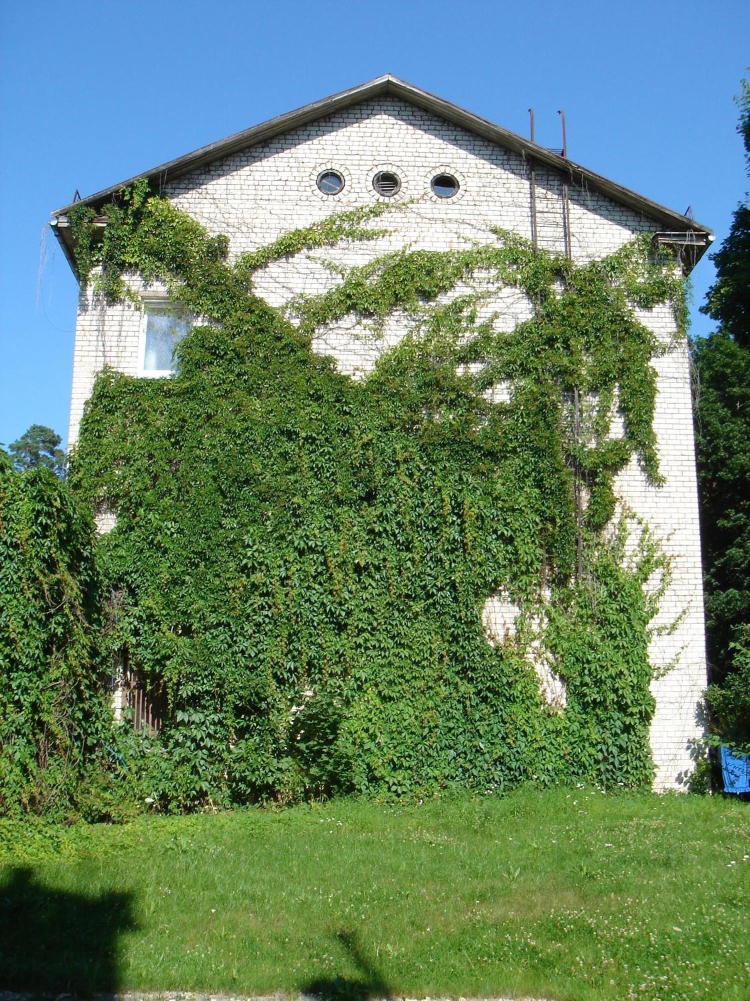 Summer Hostel Kaija Jūrkalne Exterior foto